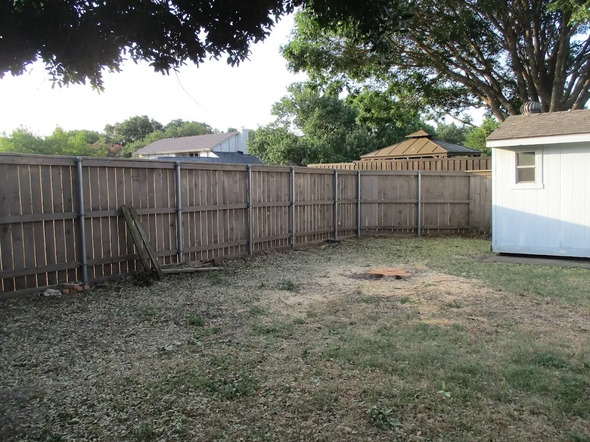 Cleared yard after professional tree removal in Burlington